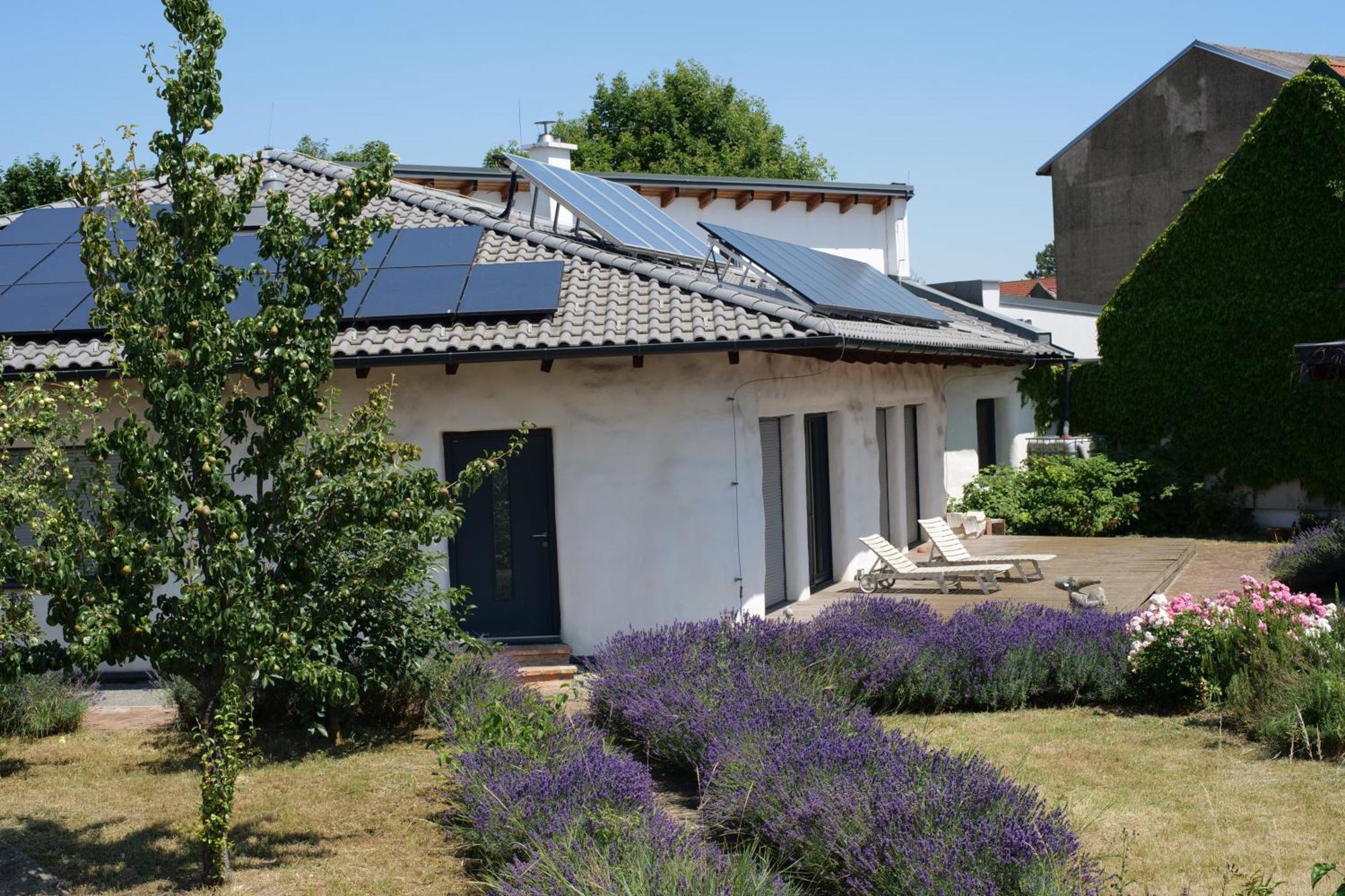 Appartamento Strohlehm'Zhaus Weiden am See Esterno foto